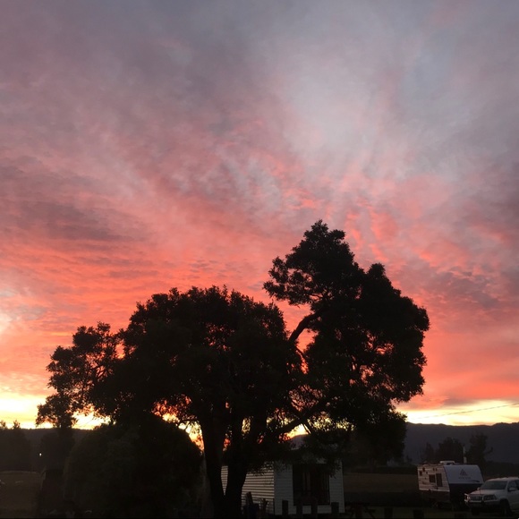 Meet your Posher, Bridget - Picture 1 of 1